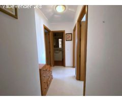 Pisos en Alquiler  Málaga Málaga