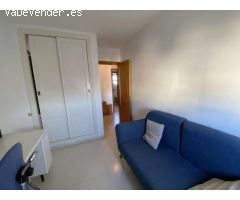 Pisos en Alquiler  Málaga Málaga