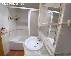 Pisos en Alquiler  Málaga Málaga