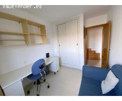Pisos en Alquiler  Málaga Málaga