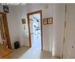 Pisos en Alquiler  Málaga Málaga
