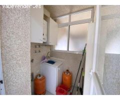Pisos en Alquiler  Málaga Málaga