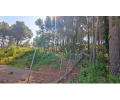 TERRENO DE 4156M2 EDIFICABLE EN CERVELLO.