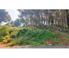 TERRENO DE 4156M2 EDIFICABLE EN CERVELLO.