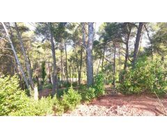 TERRENO DE 4156M2 EDIFICABLE EN CERVELLO.