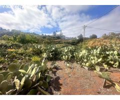 Solar urbano en Teror