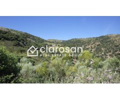 Casa de campo-Masía en Venta en Ronda Málaga
