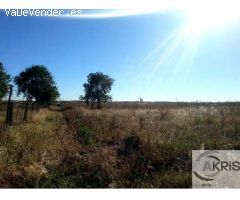 TERRENOS VENTA A PROFESIONALES EN NAVALCARNERO **PRECIO A CONSULTAR**
