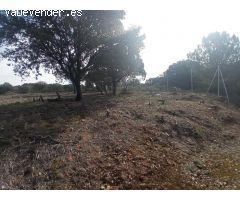 "Construye tu hogar en Sotolargo: Naturaleza y comodidad"