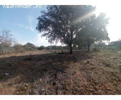 "Construye tu hogar en Sotolargo: Naturaleza y comodidad"