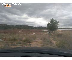 SE VENDE PARCELA RÚSTICA EN LAS AFUERAS DE ASPE IDEAL PARA ACTIVIDAD DE CULTIVO