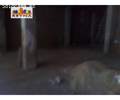 SE VENDE O SE ALQUILA CON OPCIÓN COMPRA  LOCAL COMERCIAL EN ELCHE.