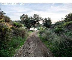17 hectareas de suelo urbanizable