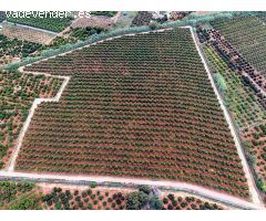 LA FINCA DEL LAGO, UNA PROPIEDAD EXCLUSIVA