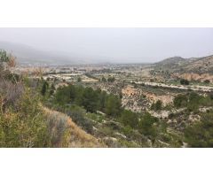 SE VENDE PARCELA  / 27.000 MTS / FACIL ACCESO / TIBI