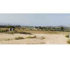 SE VENDE TERRENO CON CASA ,  40.000 MTS,  PLANTADA DE UVA EN PRODUCCION