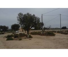 SE VENDE O ALQUILA TERRENO CON CASA PARA REFORMAR , 25.000 MTS DE TERRENO , PRECIO ALGO NEGOCIABLE