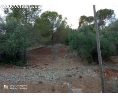 Terreno No Urbanizable en Esparreguera, Zona Can Vinyals, Baix Llobregat Nord