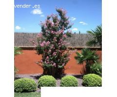 Chalet en Venta en Bormujos, Sevilla