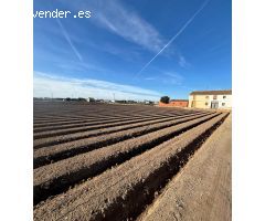 CASA TERRERA EN HUERTA DE ALBORAYA PARA REFORMAR INTEGRAMENTE