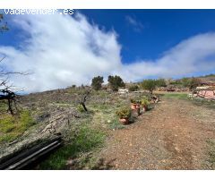 Finca En Taucho