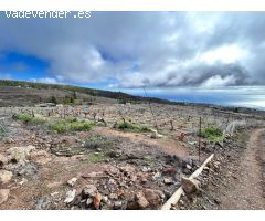 Finca En Taucho