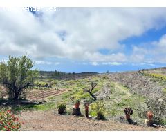 Finca En Taucho