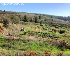Finca En Taucho