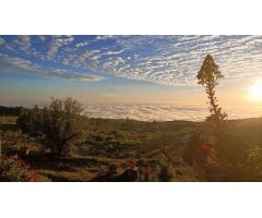 Finca En Taucho