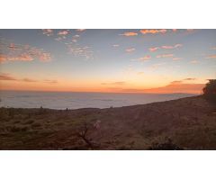 Finca En Taucho
