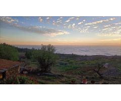 Finca En Taucho