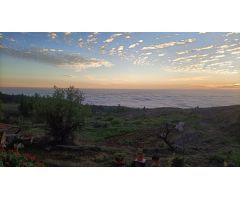 Finca En Taucho