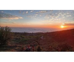 Finca En Taucho
