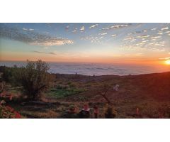 Finca En Taucho