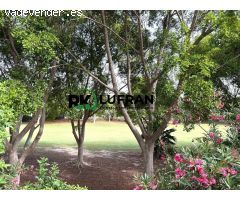 BAJO CON TERRAZAS EN VENTA EN SAN JUAN PLAYA GOLF ELITE