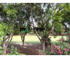 BAJO CON TERRAZAS EN VENTA EN SAN JUAN PLAYA GOLF ELITE