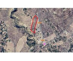 PARCELA RUSTICA EDIFICABLE VENTA EN AGUAS E BUSOT