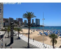 Alquiler larga temporada invierno,oct-jun con de 2 dormitorios en Benidorm primera linea mar,soleado