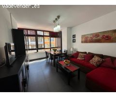Se alquila coqueto apartamento de un dormitorio en la calle Sagasta, en La Puntilla, en edificio en