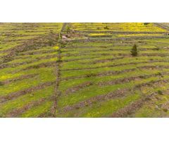 VENTA DE TERRENO RÚSTICO LAS MORADITAS-ADEJE