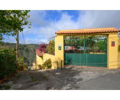Amplia casa de campo con 3 apartamentos independientes y terreno,
