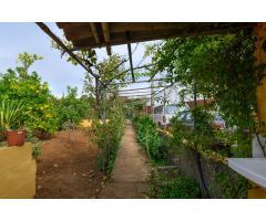 Amplia casa de campo con 3 apartamentos independientes y terreno,