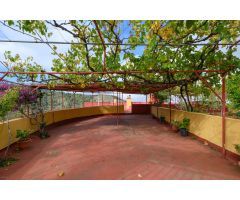 Amplia casa de campo con 3 apartamentos independientes y terreno,
