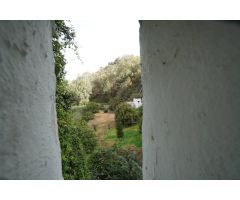 Encantadora Casa Rústica en Teror, Zona del Hornillo, con Amplio Terreno y Vistas Privilegiadas
