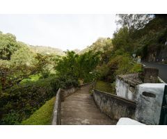 Encantadora Casa Rústica en Teror, Zona del Hornillo, con Amplio Terreno y Vistas Privilegiadas