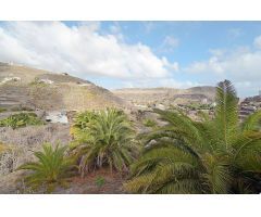 Se vende terreno agrícola de muy alto valor agrario con agua.