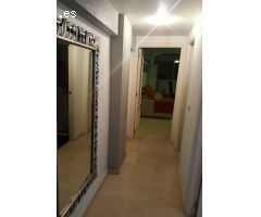 Magnifico Apartamento Reformado en Benidorm
