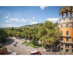 ESPLENDIDA VIVIENDA EN UNA FINCA SEÑORIAL DE PLAZA KENEDY