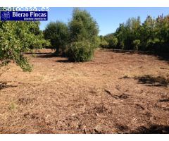 SE VENDE FINCA RUSTICA CON NAVE Y CUADRAS