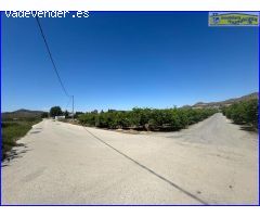 Finca Rústica en Cobatillas: Oportunidad Única para Inversores ????